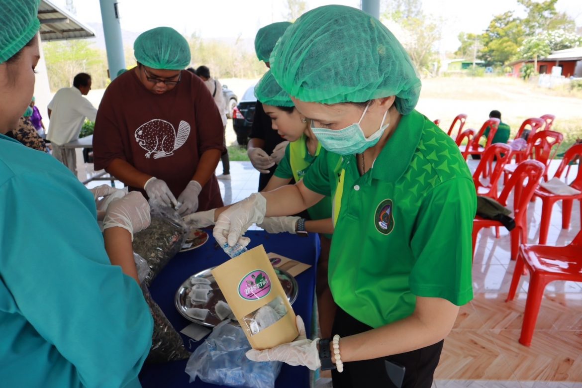 มหาวิทยาลัยราชภัฏเพชรบุรี